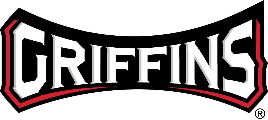 Grand Rapids Griffins 2016 Wordmark Logo iron on heat transfer